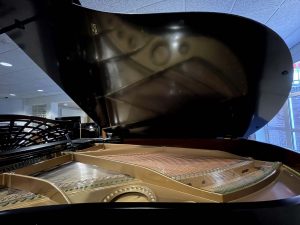 bechstein_203_1_vleugel_verhoogmuziek