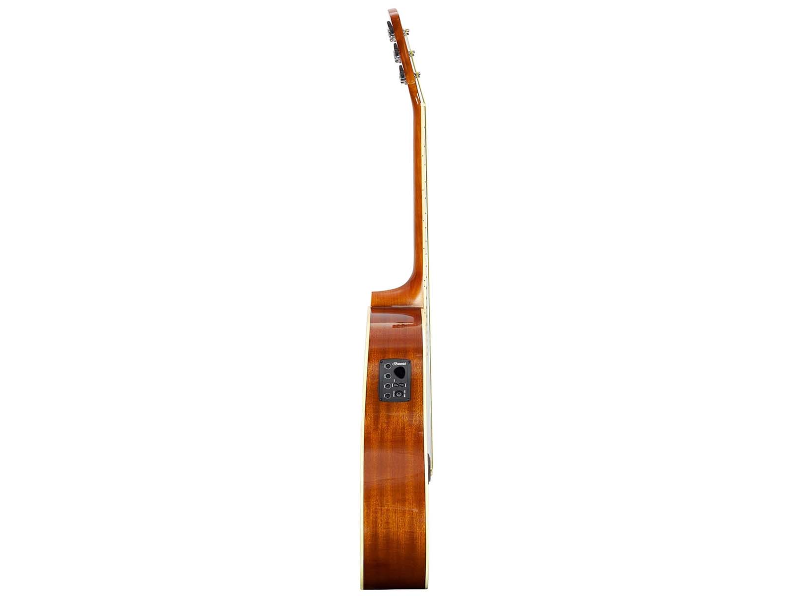 brunswick_bd200ce_western_gitaar_2_verhoogmuziek
