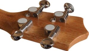 CLX_Calista_mechaniek_1_verhoogmuziek
