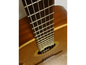 juan_salvador_model_2c_tweedehands_04_verhoogmuziek
