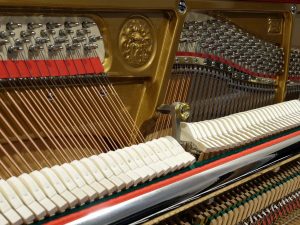grotrian_steinweg_120_5_verhoogmuziek