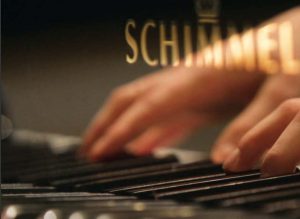 schimmel_algemeen_2