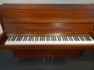 rippen_cantible_2_piano_verhoogmuziek