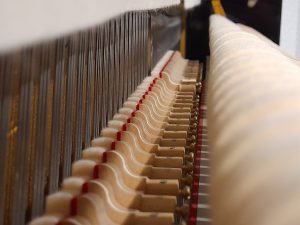 royale_rs-18c_3_piano_verhoogmuziek